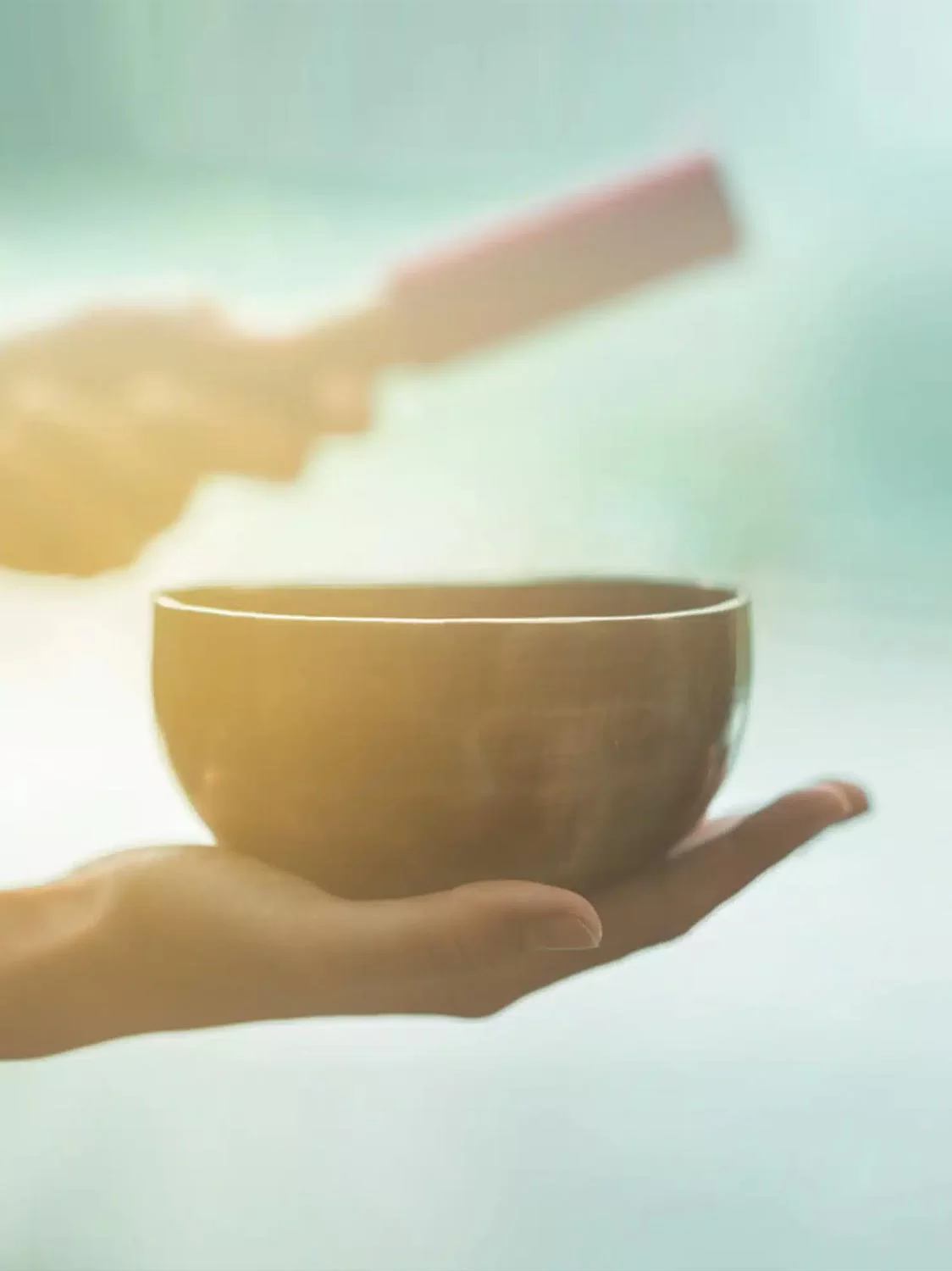 Systemische Aufstellungen Corporate Website Webdesign Web Shop Webagentur Basel Online Shop erstellen lassen E-Commerce Entwicklung Movie Video SEO Suchmaschinenoptimierung Digital Agentur Webagentur Webseite Webmaster Grafik Design 2024 ShowMyProject Digital Agentur Basel